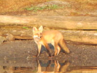 2017 08 04 Daniel Giraud 616