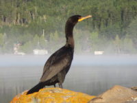 2017 08 27 Daniel Giraud 616