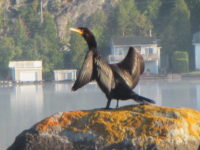 2017 08 27 Daniel Giraud 616