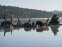 2017 08 27 Daniel Giraud 616